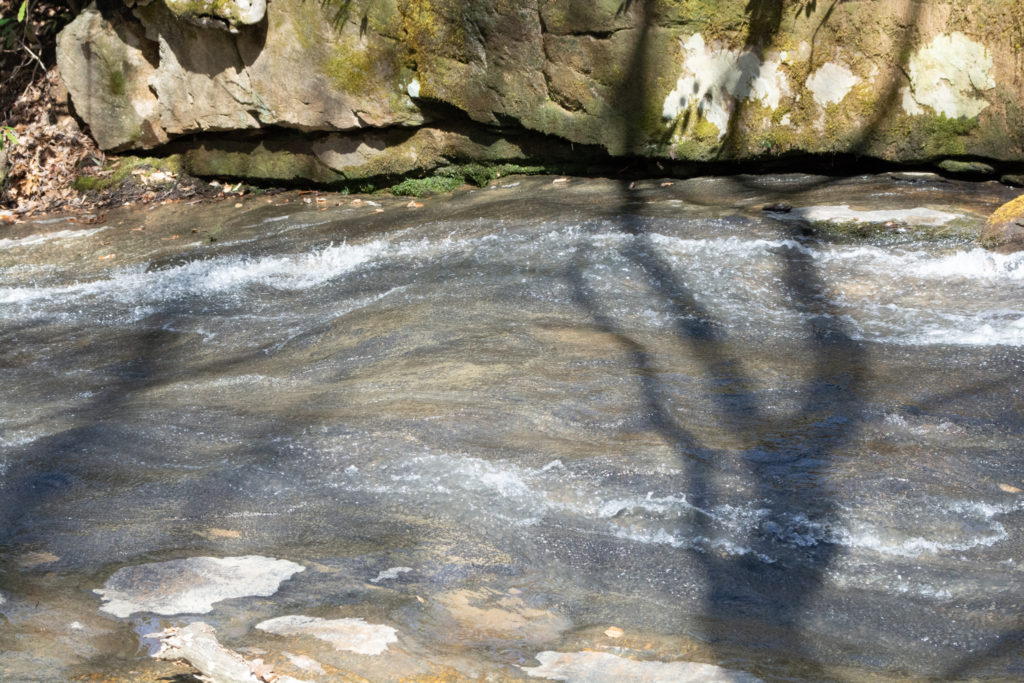 Tree shadows across a rocky river